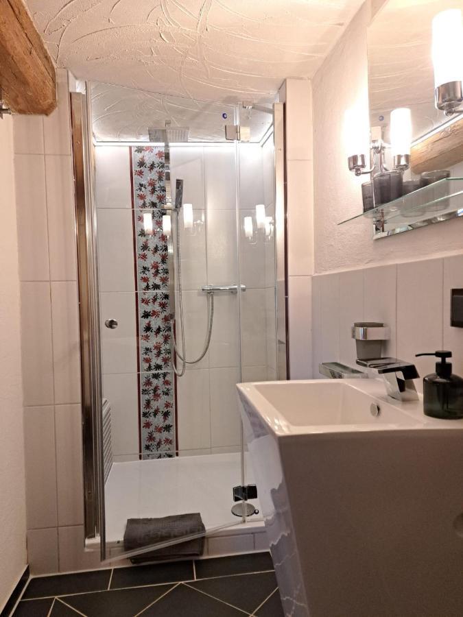 Auengut-Bertsdorf Apartment Luaran gambar